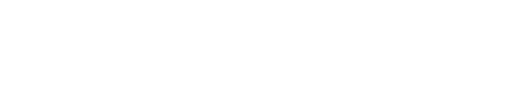 NORD DDB Logo